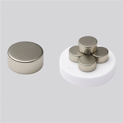 High Remanence Disc Seglar
